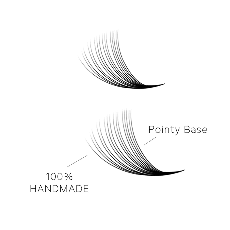 TDANCE 30D/40D Loose Fans Poin - огляд і ціна Eyelash Extension Medium