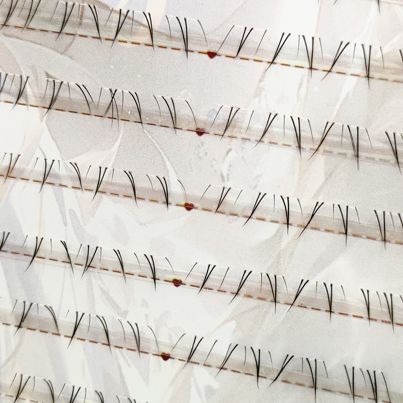 Soft Manga Bottom Lower Eyelas - огляд і ціна Eyelash Extension Natural