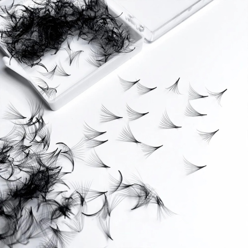 500 Fans Handmade Loose Premad - огляд і ціна Eyelash Extension Medium